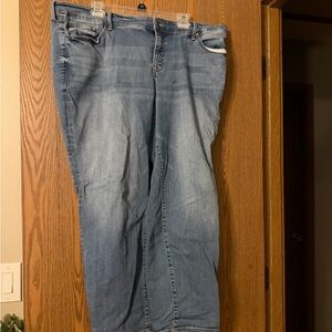 Torrid Relaxed Fit Blue Jeans